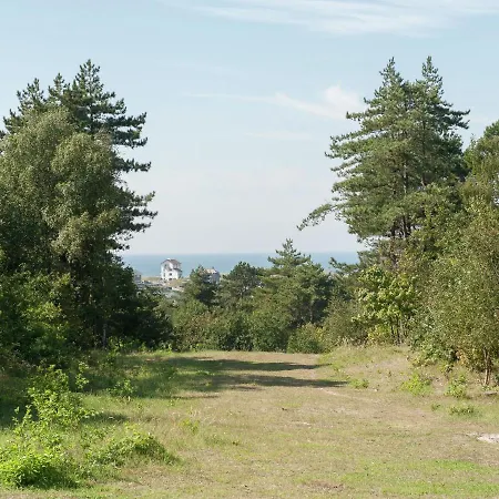In Bergen Near North Sea Bergen aan Zee
