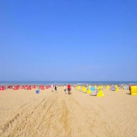 In Bergen Near North Sea * Bergen aan Zee