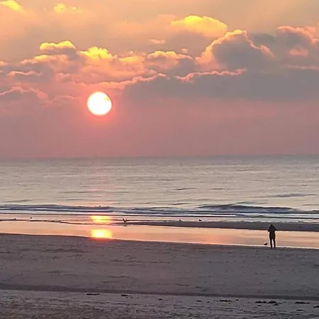 In Bergen Near North Sea Apartment