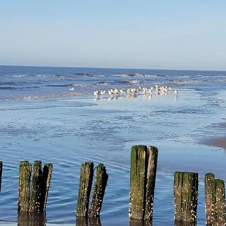 Modern Close To The Bergen aan Zee