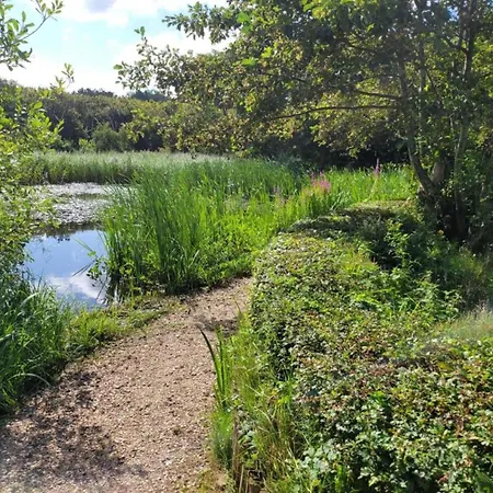 In Bergen Near North Sea Apartment Bergen aan Zee