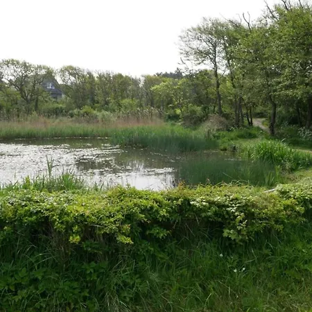 In Bergen Near North Sea *